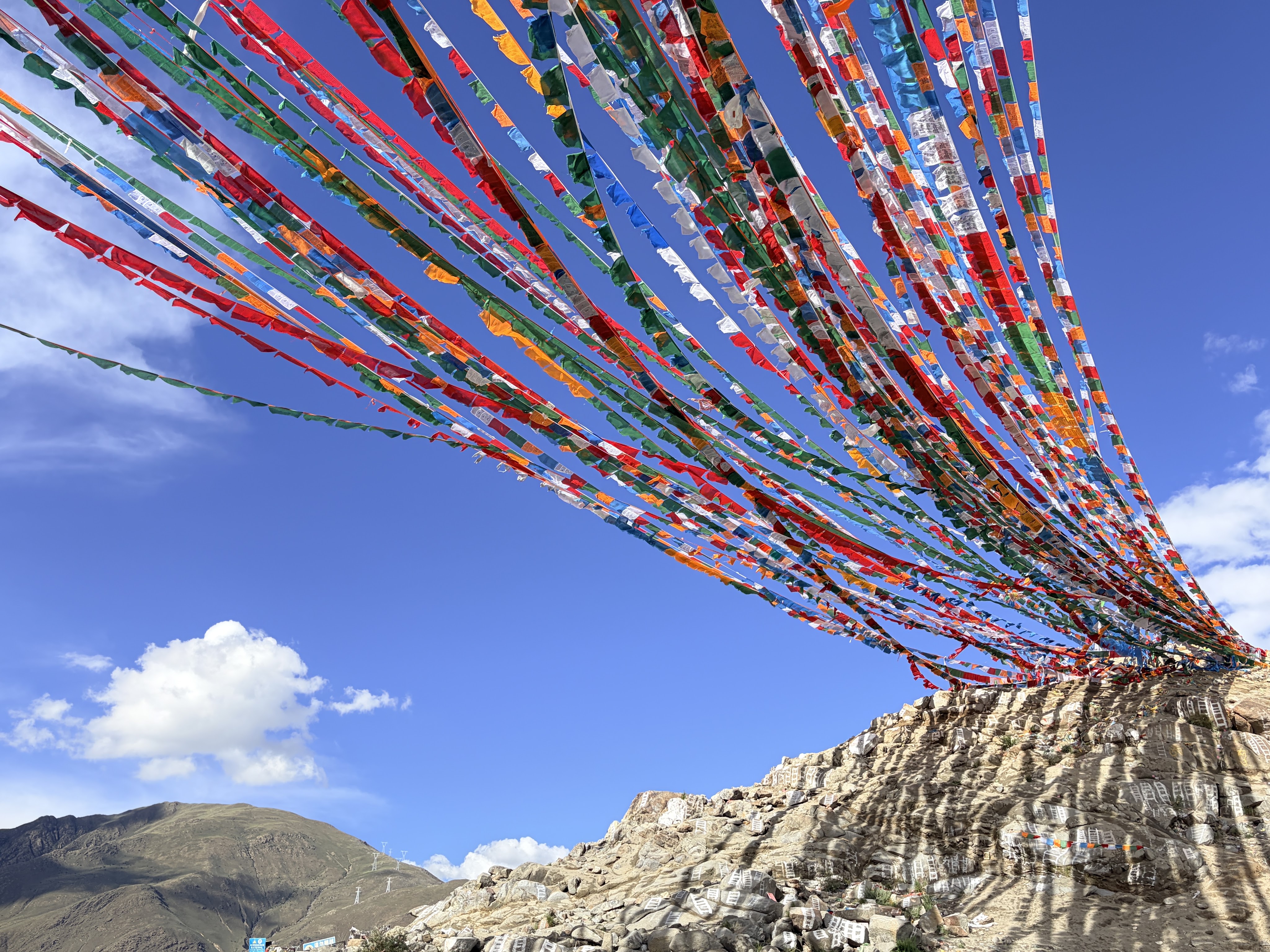 Tibetan flags